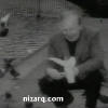 نزار قباني